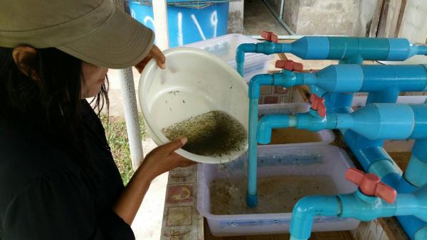 คลิกเพื่ออ่านรายล่ะเอียด