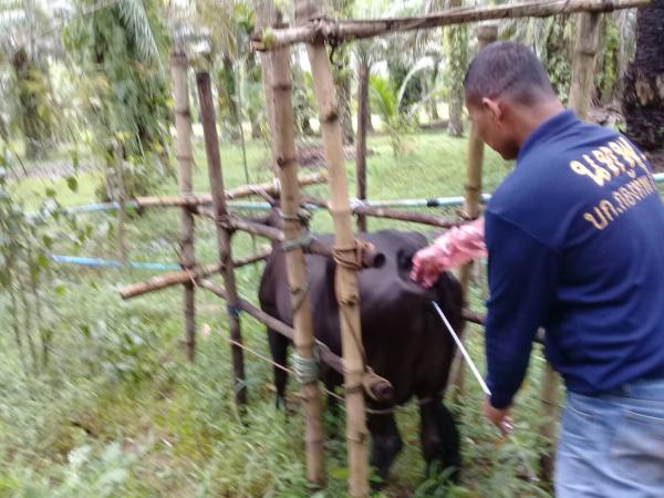 คลิกเพื่ออ่านรายล่ะเอียด