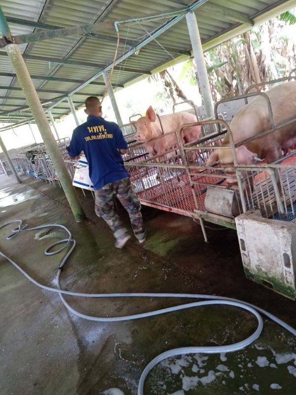 คลิกเพื่ออ่านรายล่ะเอียด