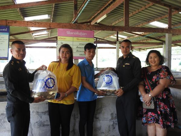 คลิกเพื่ออ่านรายล่ะเอียด