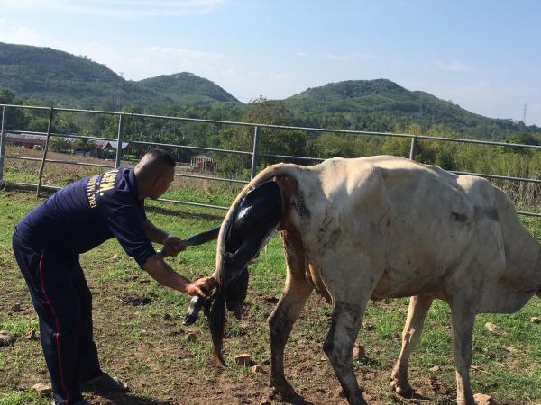 คลิกเพื่ออ่านรายล่ะเอียด