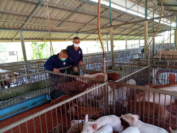 คลิกเพื่ออ่านรายล่ะเอียด