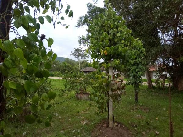 คลิกเพื่ออ่านรายล่ะเอียด