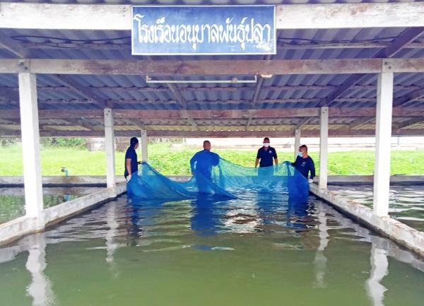 คลิกเพื่ออ่านรายล่ะเอียด