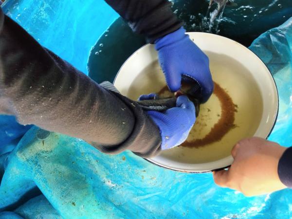 คลิกเพื่ออ่านรายล่ะเอียด