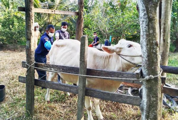 คลิกเพื่ออ่านรายล่ะเอียด