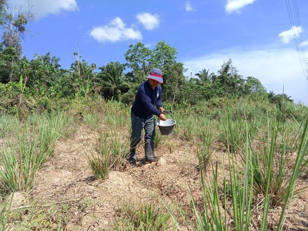 คลิกเพื่ออ่านรายล่ะเอียด