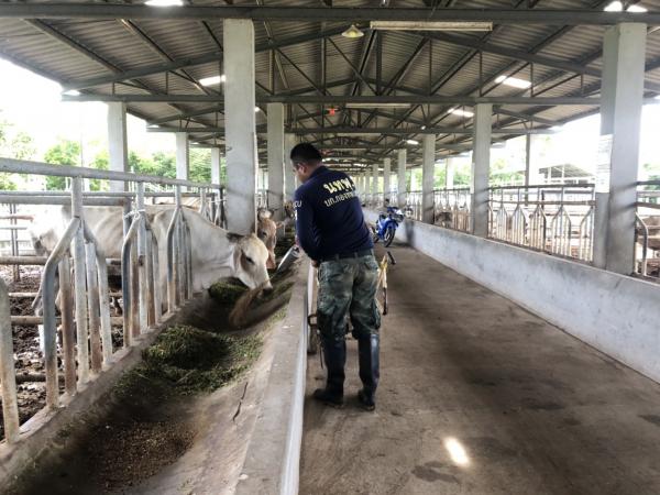 คลิกเพื่ออ่านรายล่ะเอียด