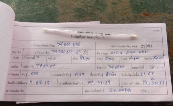 คลิกเพื่ออ่านรายล่ะเอียด