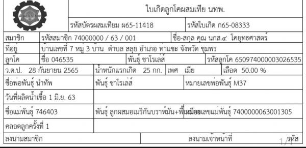 คลิกเพื่ออ่านรายล่ะเอียด