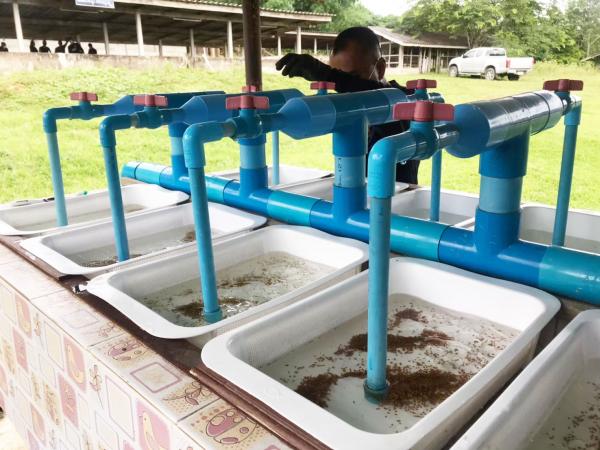 คลิกเพื่ออ่านรายล่ะเอียด