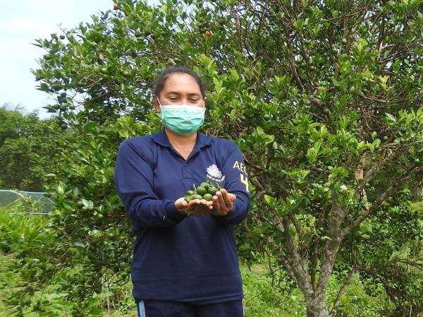 คลิกเพื่ออ่านรายล่ะเอียด