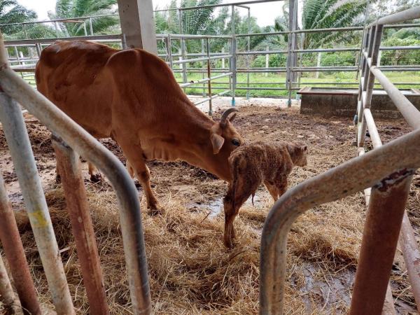 คลิกเพื่ออ่านรายล่ะเอียด