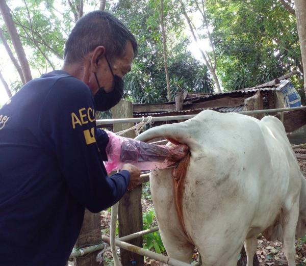 คลิกเพื่ออ่านรายล่ะเอียด