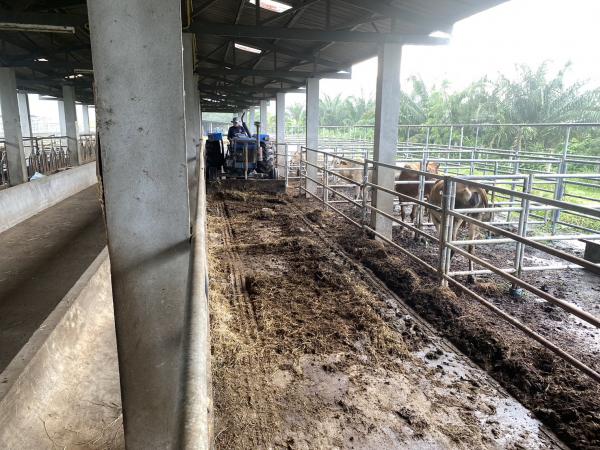 คลิกเพื่ออ่านรายล่ะเอียด