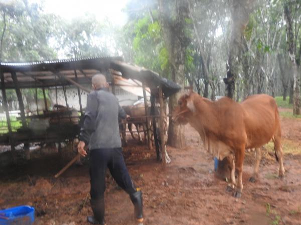 คลิกเพื่ออ่านรายล่ะเอียด