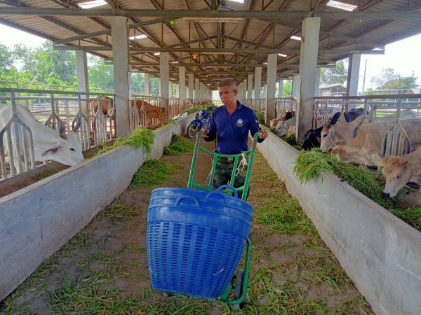 คลิกเพื่ออ่านรายล่ะเอียด