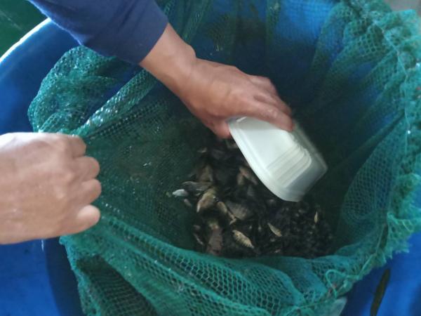 คลิกเพื่ออ่านรายล่ะเอียด