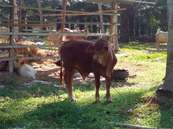 คลิกเพื่ออ่านรายล่ะเอียด