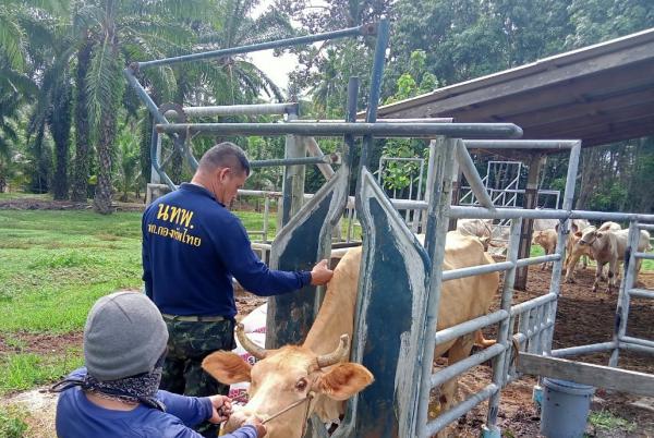 คลิกเพื่ออ่านรายล่ะเอียด