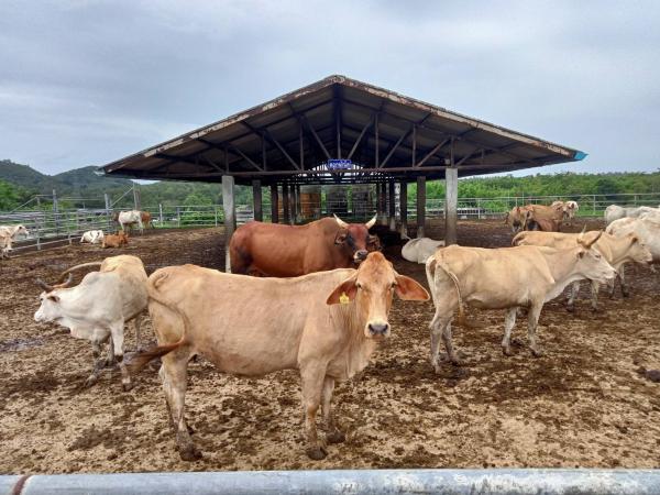 คลิกเพื่ออ่านรายล่ะเอียด