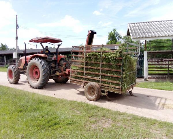 คลิกเพื่ออ่านรายล่ะเอียด