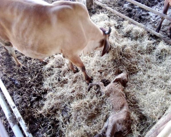 คลิกเพื่ออ่านรายล่ะเอียด