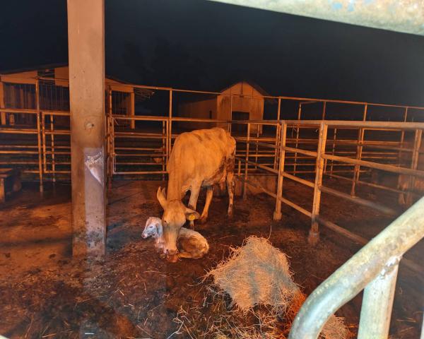 คลิกเพื่ออ่านรายล่ะเอียด