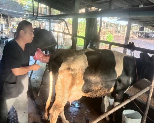 คลิกเพื่ออ่านรายล่ะเอียด