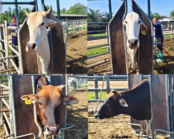 คลิกเพื่ออ่านรายล่ะเอียด