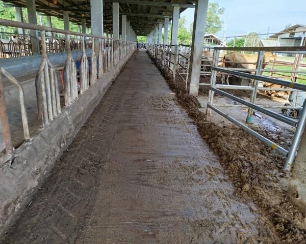 คลิกเพื่ออ่านรายล่ะเอียด