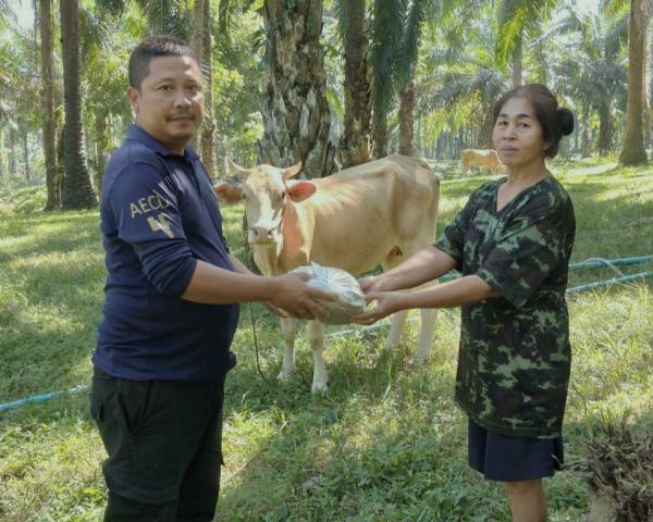 คลิกเพื่ออ่านรายล่ะเอียด