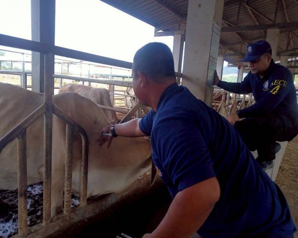 คลิกเพื่ออ่านรายล่ะเอียด