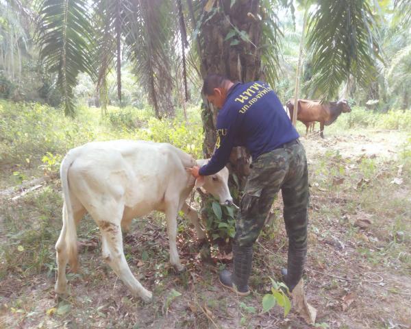 คลิกเพื่ออ่านรายล่ะเอียด