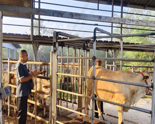 คลิกเพื่ออ่านรายล่ะเอียด