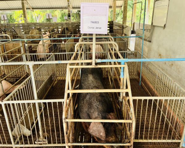 คลิกเพื่ออ่านรายล่ะเอียด