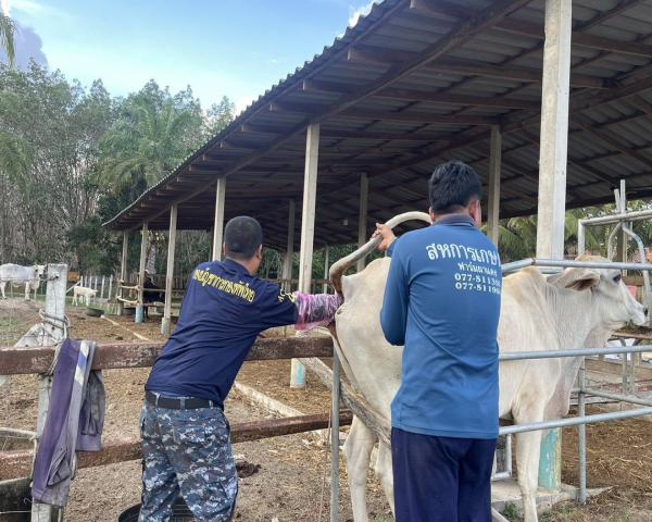 คลิกเพื่ออ่านรายล่ะเอียด