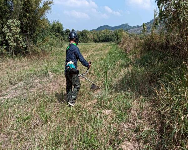 คลิกเพื่ออ่านรายล่ะเอียด