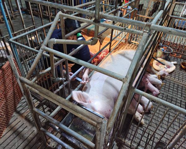 คลิกเพื่ออ่านรายล่ะเอียด