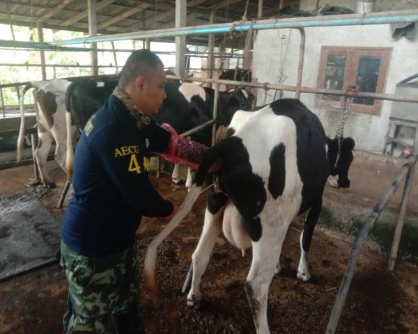 คลิกเพื่ออ่านรายล่ะเอียด