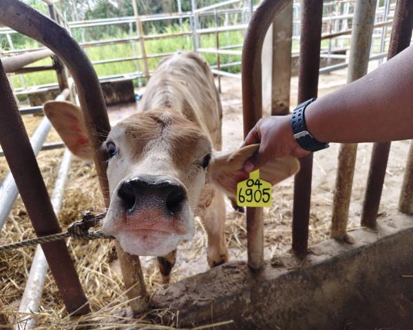 คลิกเพื่ออ่านรายล่ะเอียด