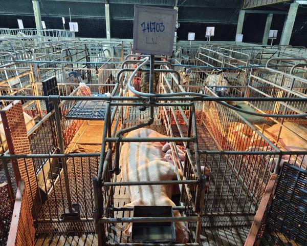 คลิกเพื่ออ่านรายล่ะเอียด