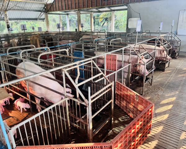 คลิกเพื่ออ่านรายล่ะเอียด