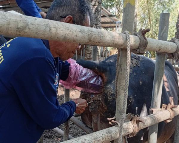 คลิกเพื่ออ่านรายล่ะเอียด