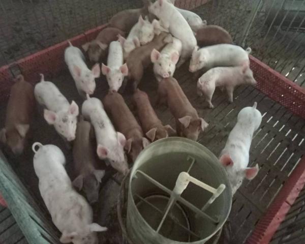 คลิกเพื่ออ่านรายล่ะเอียด