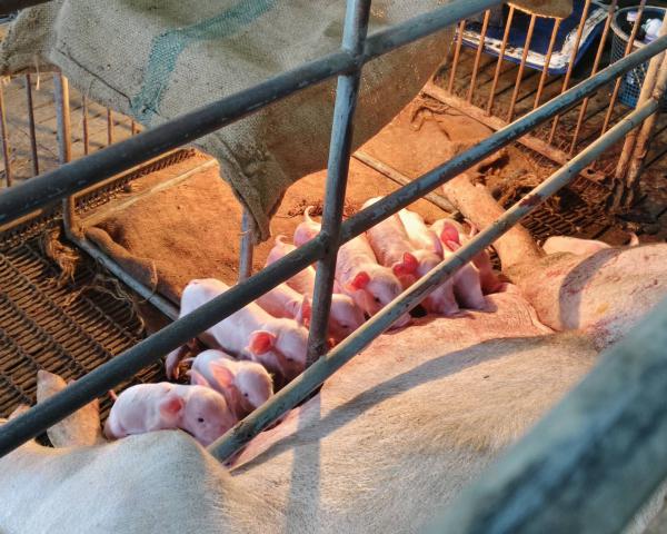 คลิกเพื่ออ่านรายล่ะเอียด